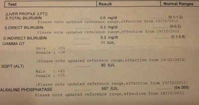 liver blood tests