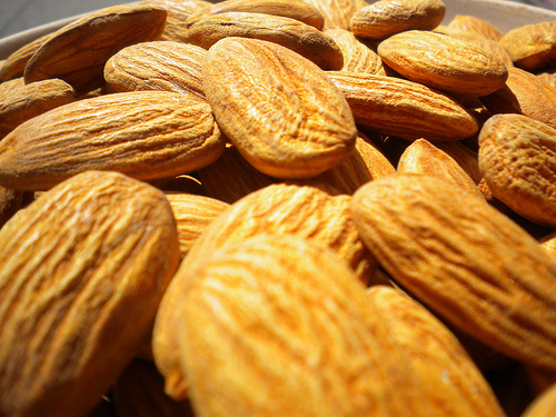 are almonds bad for dogs are almonds bad for dogs are almonds bad for dogs are almonds bad for dogs