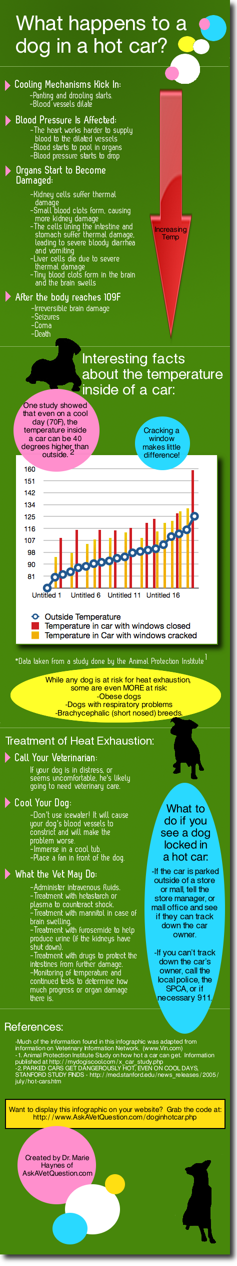 What happens to a dog in a hot car?