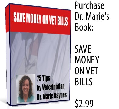 Imodium Dosage For Puppy