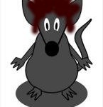mouse with hair