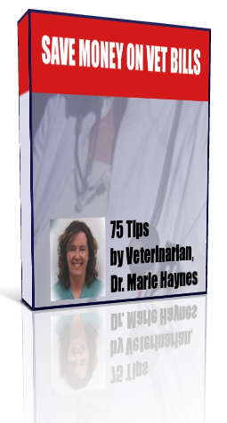 Save Money on Vet Bills